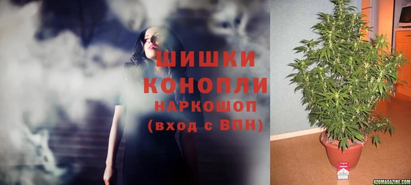 экстази Бородино