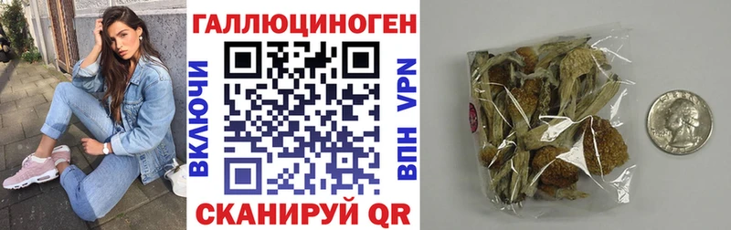 Галлюциногенные грибы GOLDEN TEACHER  Буй 
